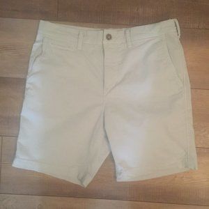 Men's American Eagle Shorts 32 Slim